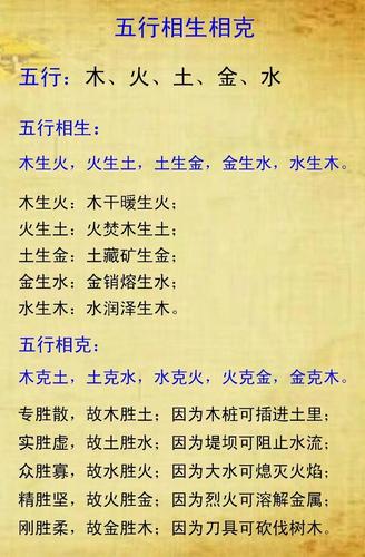 子五行属性什么