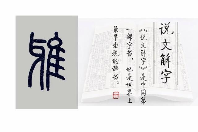 雅五行属性什么