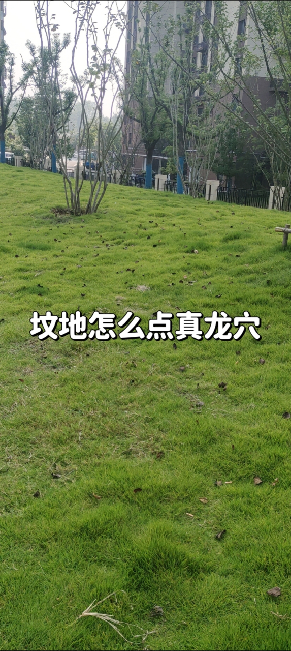墓地风水口诀