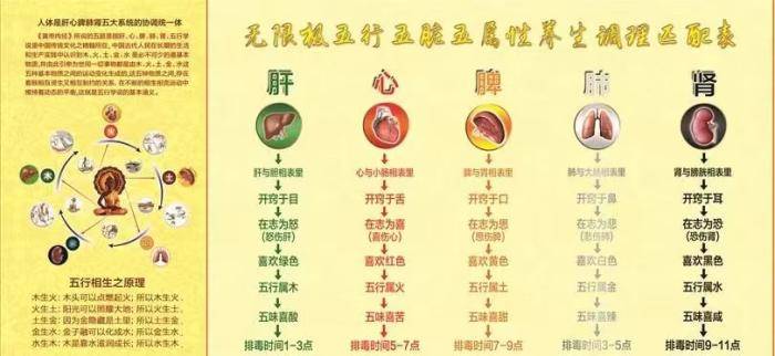 科普展现:肝对应五行（肝的五行学说）