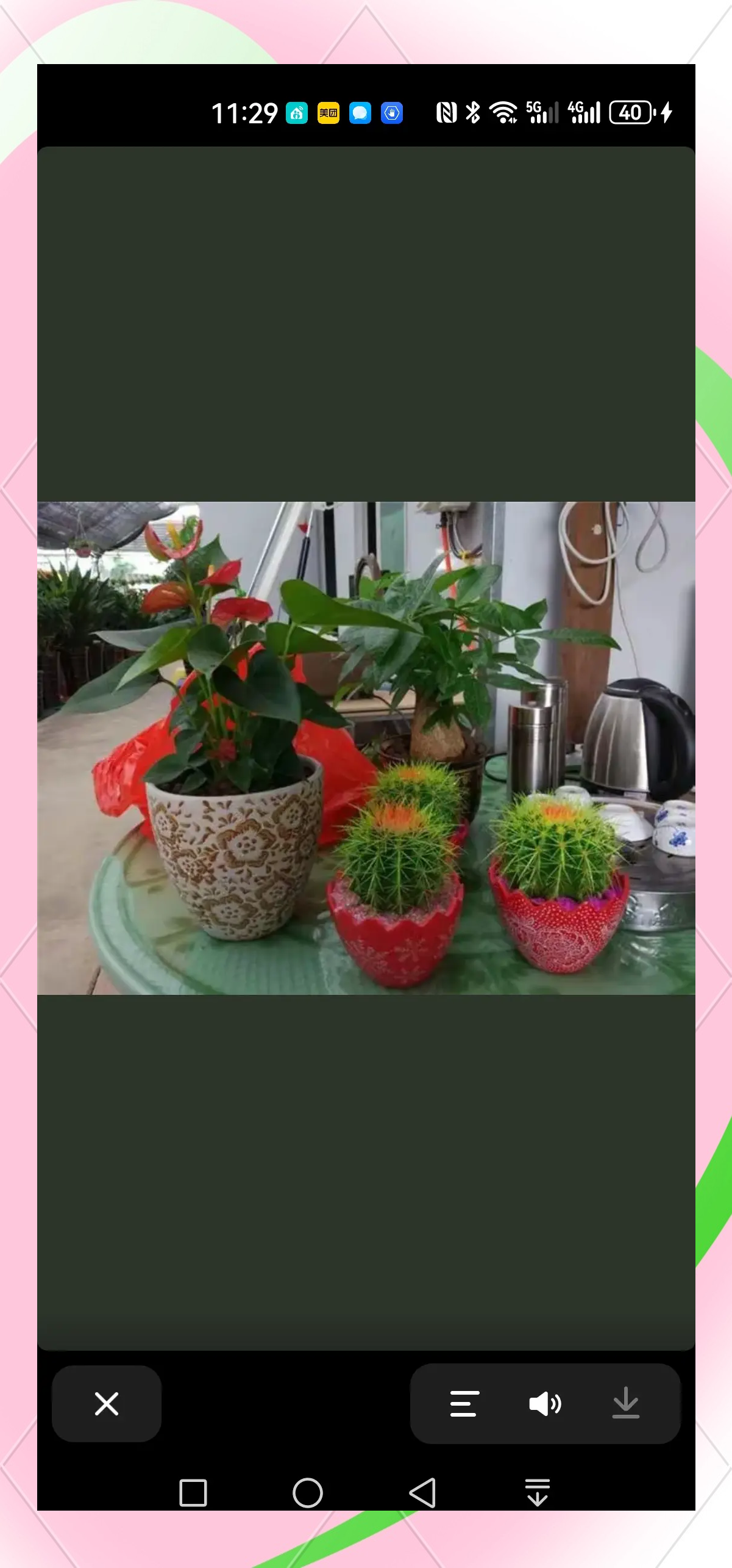 仙人掌风水禁忌