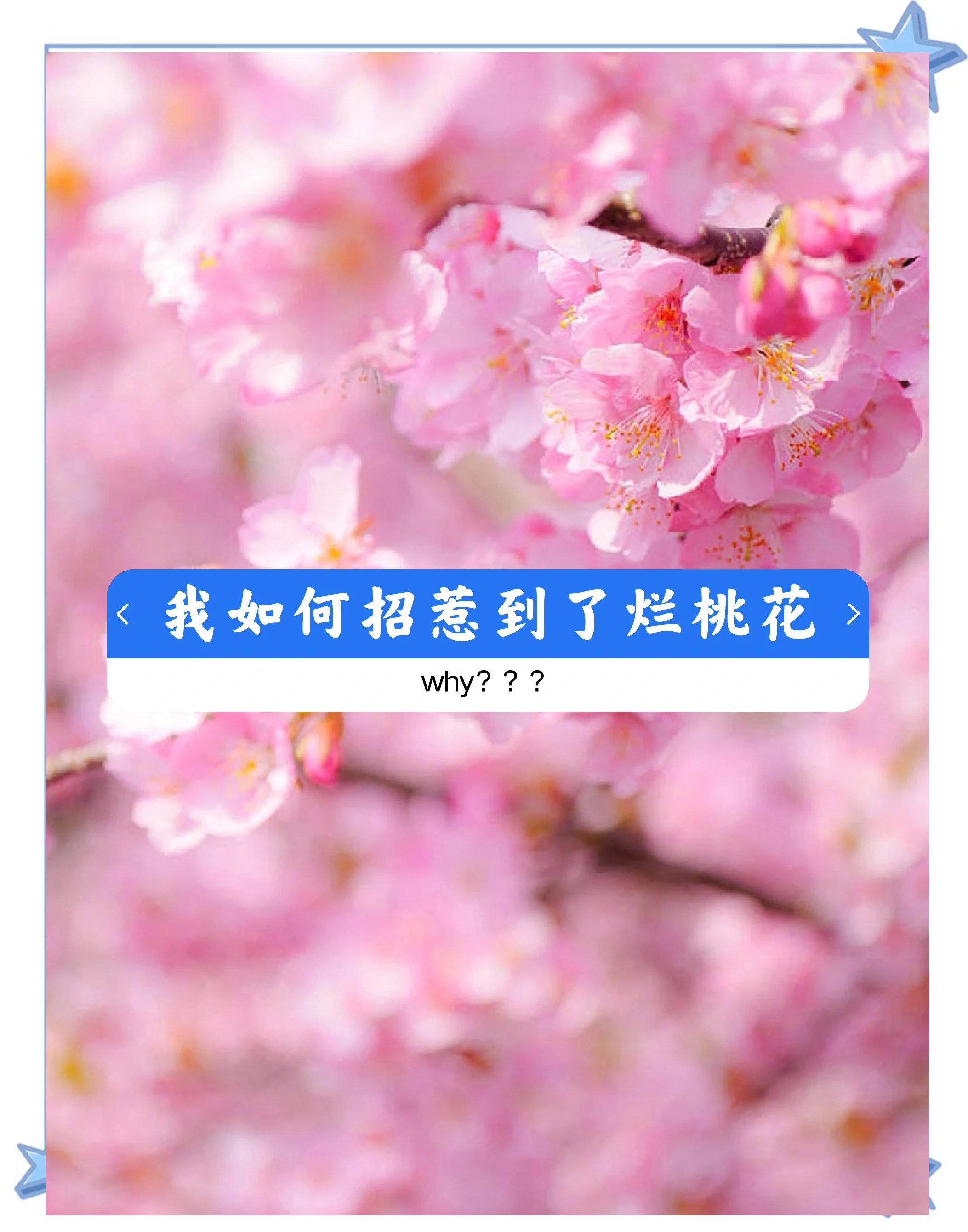 遇到烂桃花征兆