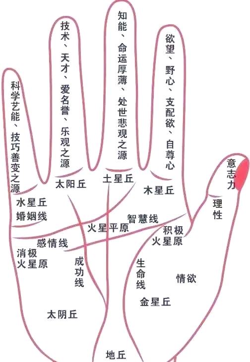 科普展现:偏财运测算（八字财运测算）