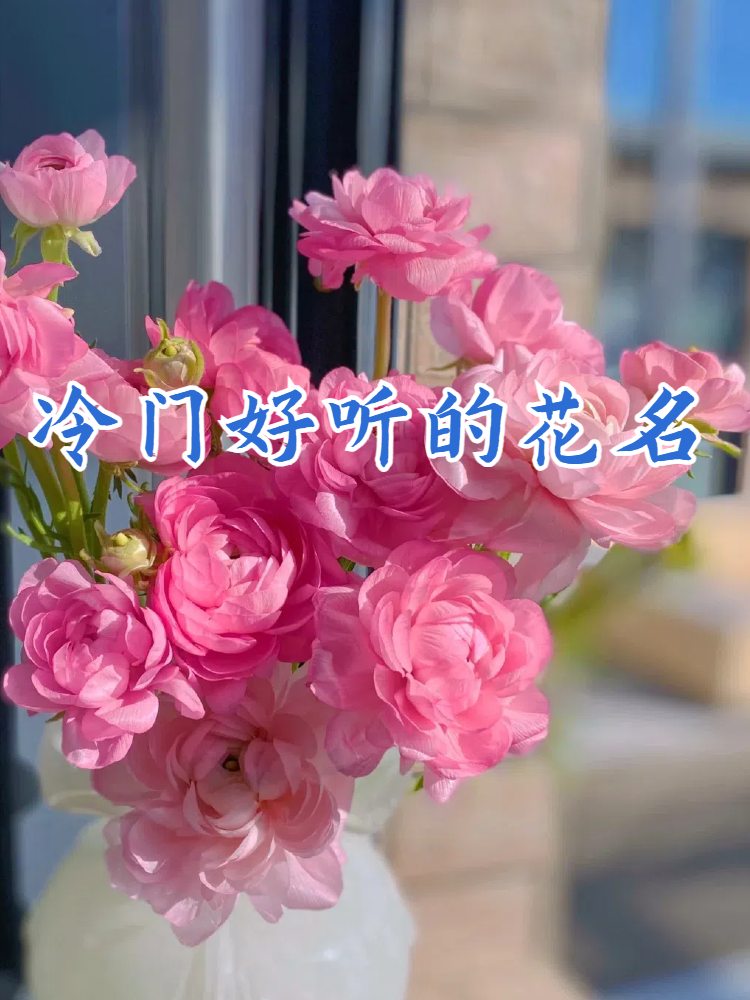 科普展现:特殊好听花名（好听特别的花名）