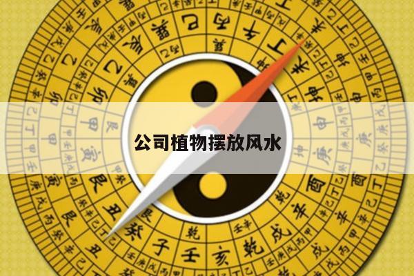 公司植物摆放风水