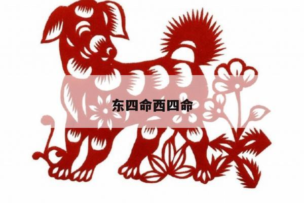 东四命西四命