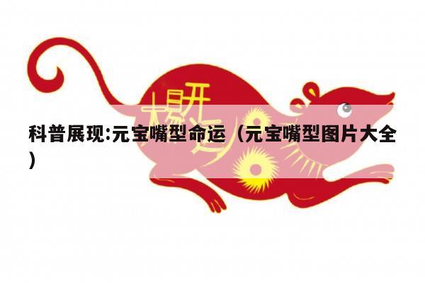 科普展现:元宝嘴型命运（元宝嘴型图片大全）