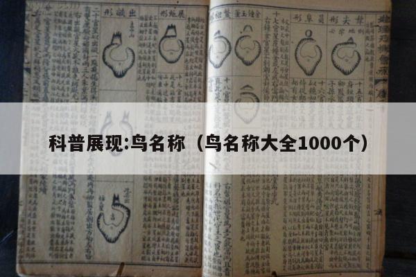 科普展现:鸟名称（鸟名称大全1000个）