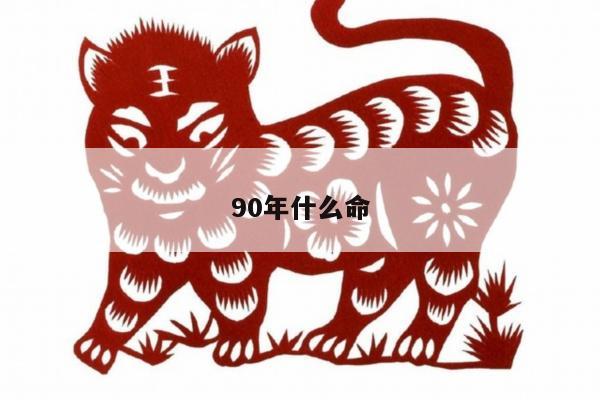 90年什么命