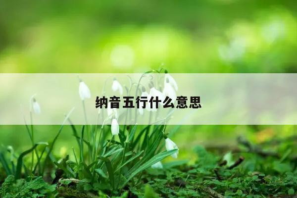 纳音五行什么意思