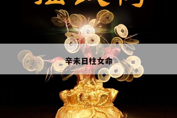 辛未日柱女命