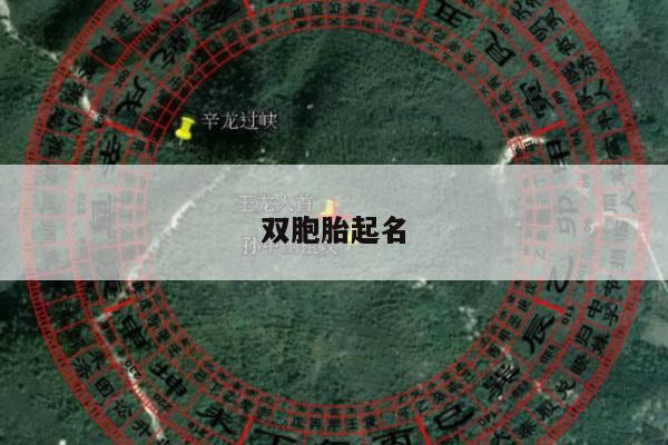 双胞胎起名