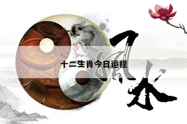十二生肖今日运程