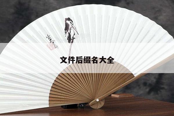文件后缀名大全