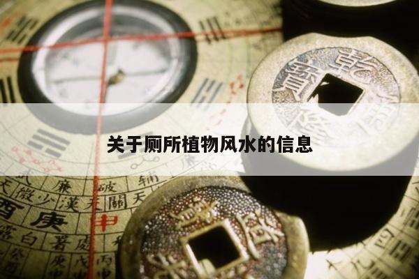 关于厕所植物风水的信息