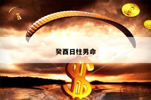 癸酉日柱男命