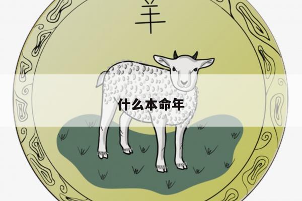 什么本命年