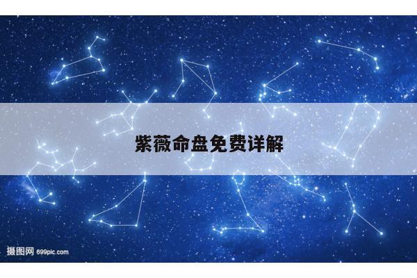紫薇命盘免费详解