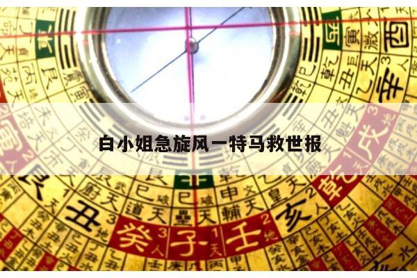 白小姐急旋风一特马救世报