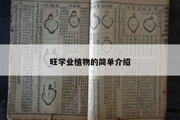 旺学业植物的简单介绍