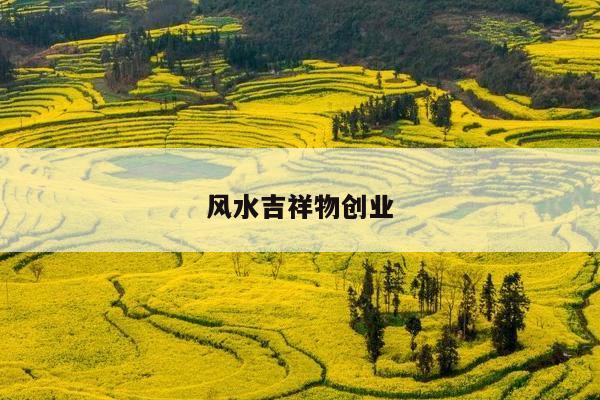 风水吉祥物创业