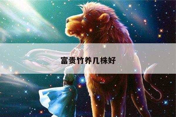 富贵竹养几株好