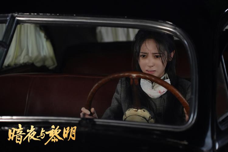 电视剧w暗夜与黎明,暗夜与黎明剧情介绍