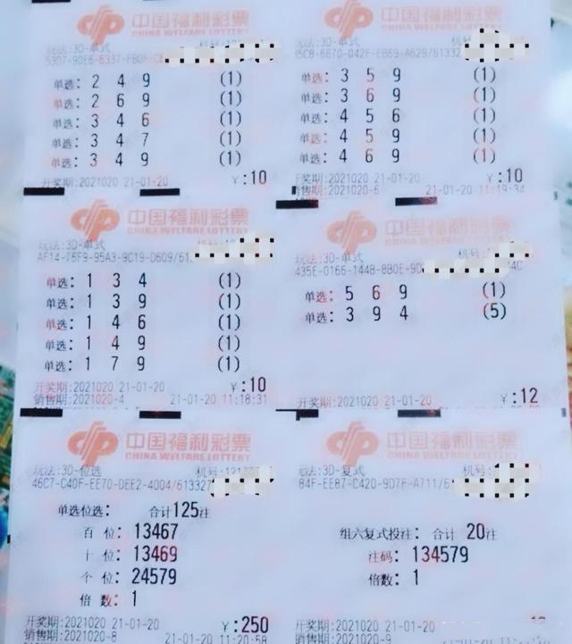 2000开奖记录查询结果,2000全年开奖记录