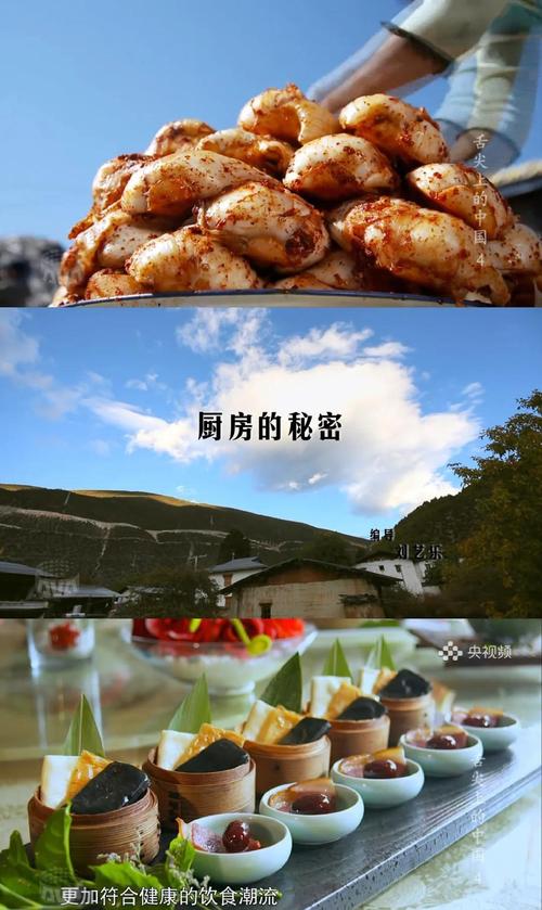 舌尖上的新年纪录片,舌尖上的新年纪录片在线观看免费