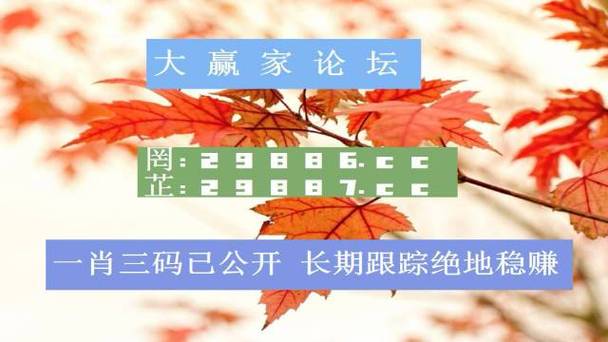 澳门六开资料免费查询,