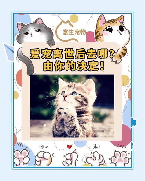 来到这个世上,狗狗死后多久可以投胎重新来到这个世上