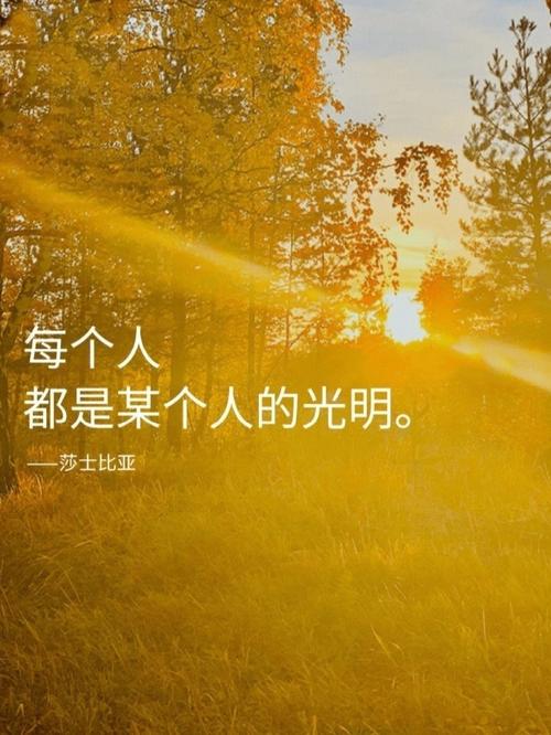缘妙不可言的意思,缘妙不可言的意思是什么