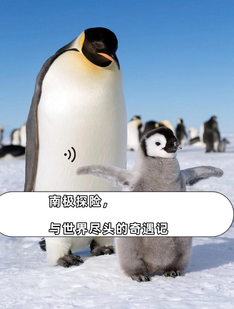世界尽头的奇遇,世界尽头的奇遇企鹅