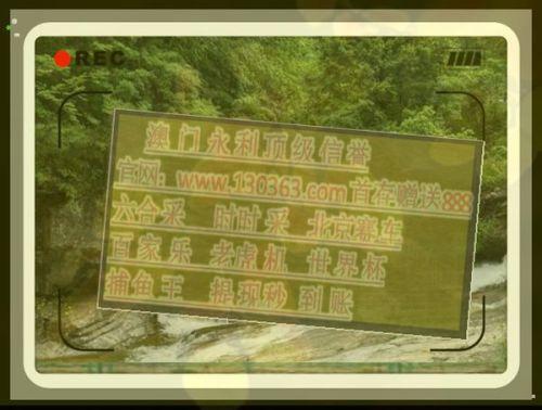 三中三澳门免费资料网址,澳门三中三免费默认