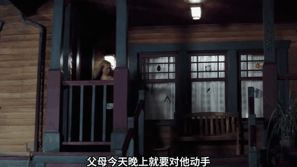 第39号案件,第39号案件剧情介绍
