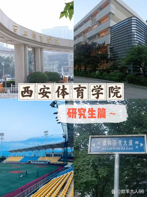 体育专业特色,体育专业特色有哪些